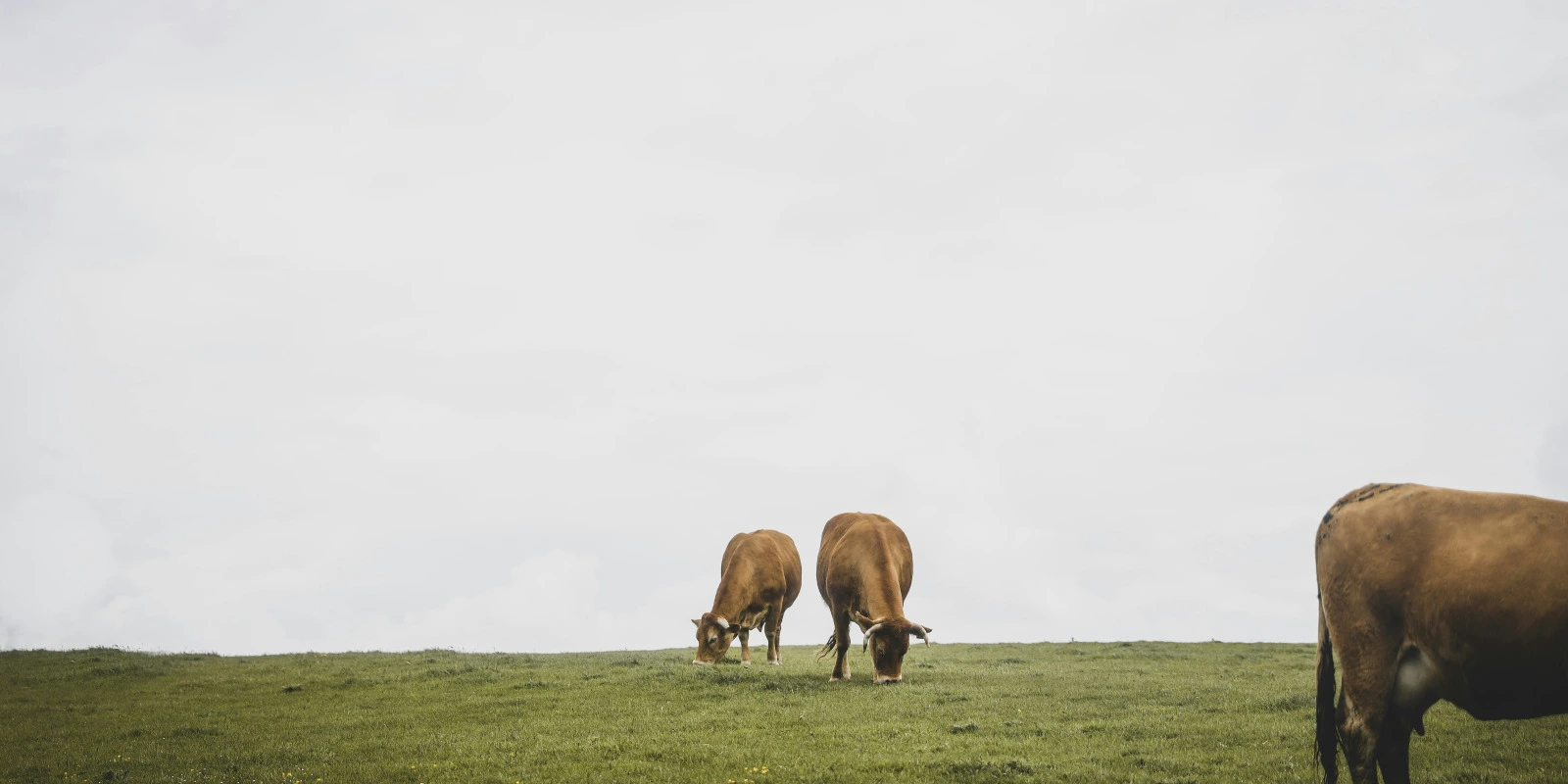 Création Numérique : Les Bases