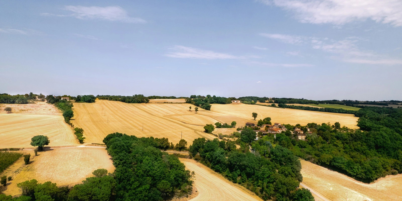 Guide pour le BUT MMI (Métiers du Multimédia et de l'Internet)