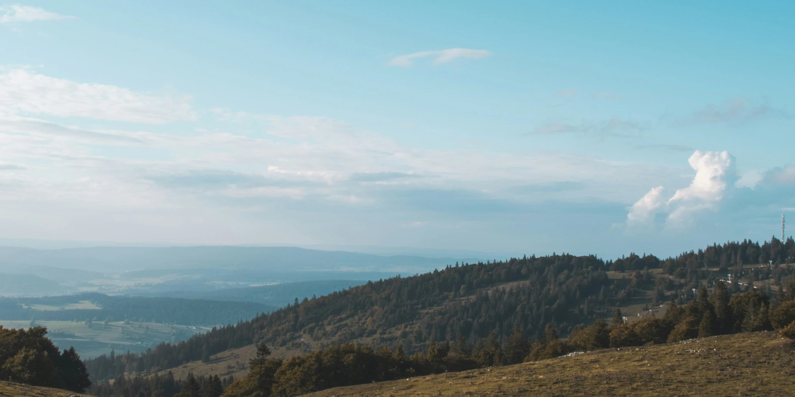 Les Débouchés du BUT MMI (Métiers du Multimédia et de l'Internet)