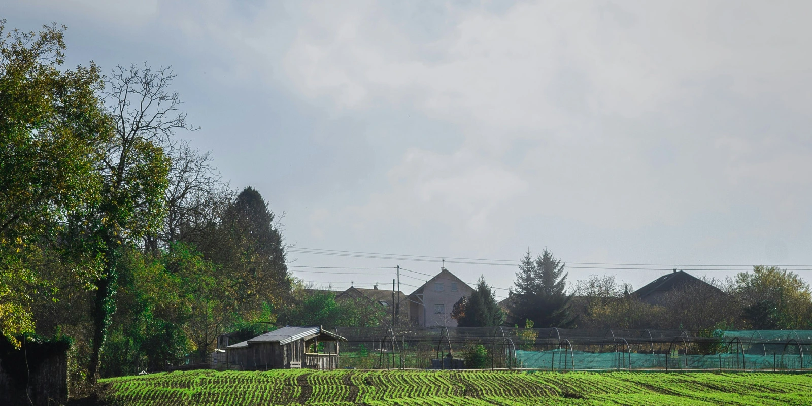 Les Spécificités du DUT MMI Les Spécificités du DUT MMI