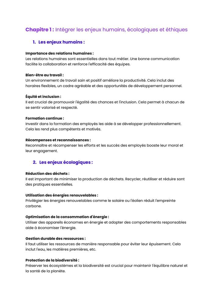 Example Fiche de Révision BUT MMI
